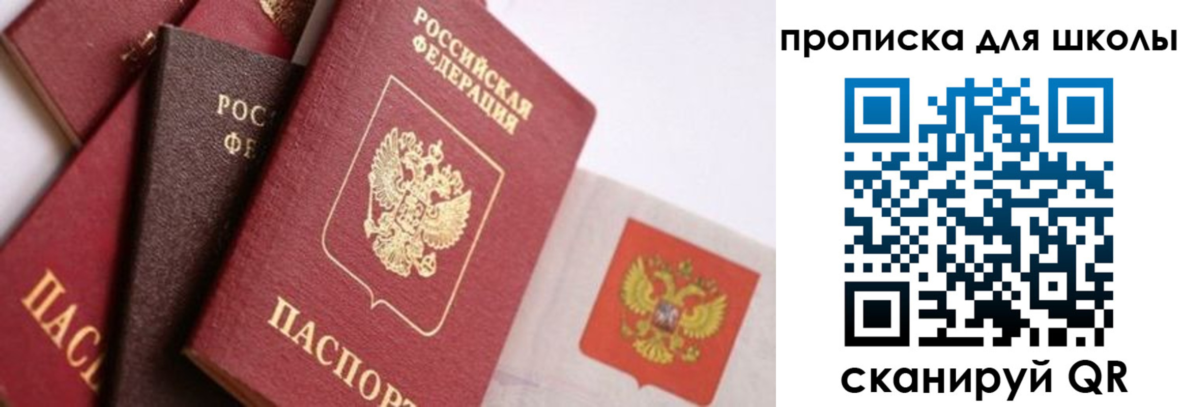 прописка поиск в Ардоне
